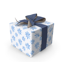 Gift Box PNG & PSD Images