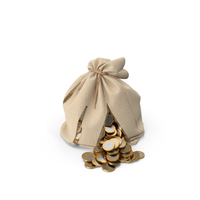 Torn Money Bag PNG & PSD Images