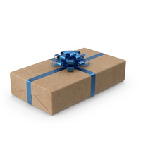 Brown Wrapped Gift Box Blue Bow PNG & PSD Images