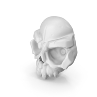 Stylized Skull PNG & PSD Images