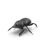 Manure Roller Crawling PNG & PSD Images