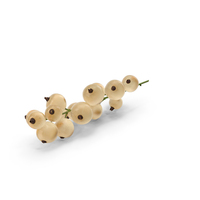 White Currant Berry Cluster PNG & PSD Images