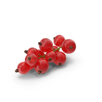 Red Currant Berries Branch PNG & PSD Images