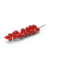 Red Currant On Stem PNG & PSD Images