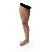 Realistic Asian Male Leg PNG & PSD Images