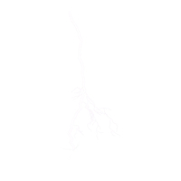 Lightning Bolt PNG & PSD Images