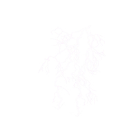 Lightning Strike PNG & PSD Images