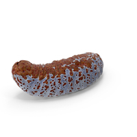 Sea Cucumber Curved Pose Red PNG & PSD Images