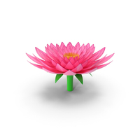 Lotus Colored Icon PNG & PSD Images