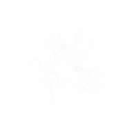 Thunderstorm PNG & PSD Images