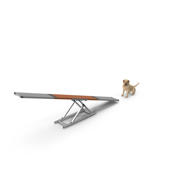 Dog Agility Teeter Totter and Labrador PNG & PSD Images