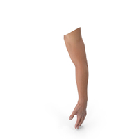Arm Anatomy Asian Man PNG & PSD Images