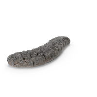 Gamat Shaped Gray PNG & PSD Images