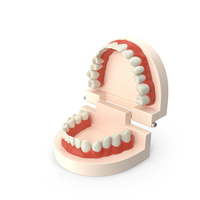 Dental Teaching Mold Open At 90 Degree PNG & PSD Images