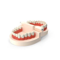 Dental Teaching Mold Open At 180 Degree PNG & PSD Images