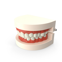 Dental Teaching Mold Closed PNG & PSD Images
