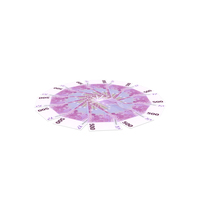 Circlular Arranged Euro 500 Notes Back Few PNG & PSD Images
