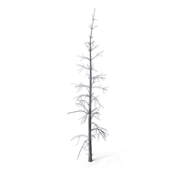 Dead Pine Tree PNG & PSD Images