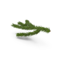 Christmas Fir Branch PNG & PSD Images