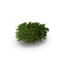 Christmas Wreath PNG & PSD Images