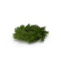 Christmas Wreath PNG & PSD Images