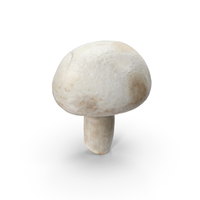 Mushroom PNG & PSD Images