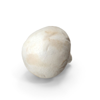 White Mushroom PNG & PSD Images