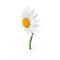 Cartoon Flower PNG & PSD Images