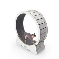 Sphynx Cat On Homegroove Exercise Wheel PNG & PSD Images