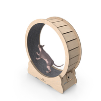 Wooden Exercise Wheel By Homegroove For Cat PNG & PSD Images