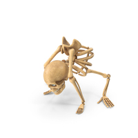 Skeleton Back Bend Yoga Pose PNG & PSD Images