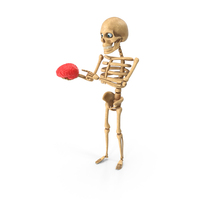 Skeleton Show Mind On Hands PNG & PSD Images
