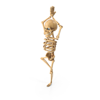 Skeleton Single Leg Yoga Pose PNG & PSD Images