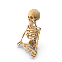 Skeleton Sitting Pose PNG & PSD Images