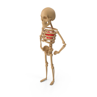 Stand Pose Skeleton Heart PNG & PSD Images