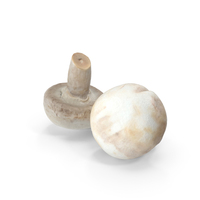 Mushrooms PNG & PSD Images