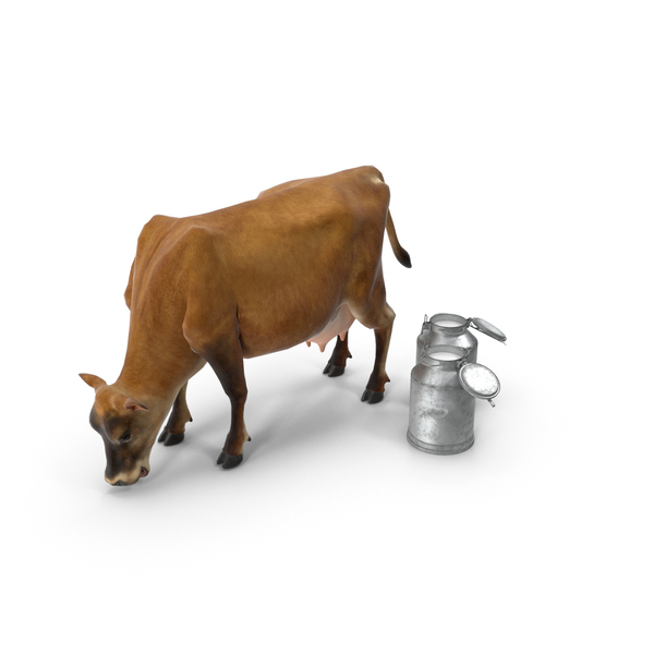 Mini Cow and Milk Bucket PNG & PSD Images