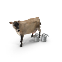 Jersey Heifer And Milk Bucket PNG & PSD Images