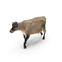 Mini Cow Goes Beige PNG & PSD Images