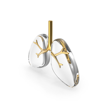 Lungs Gold Icon PNG & PSD Images