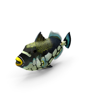 Realistic Clown Trigger Fish PNG & PSD Images