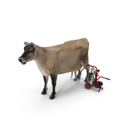 Jersey Dairy Cow and Milking Machine PNG & PSD Images