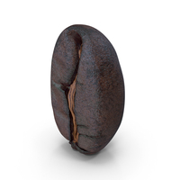 Coffee Bean PNG & PSD Images