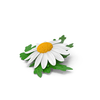 Cartoon Daisy White PNG & PSD Images