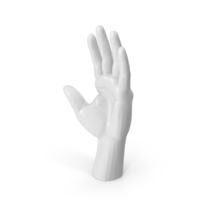 White Hand PNG & PSD Images