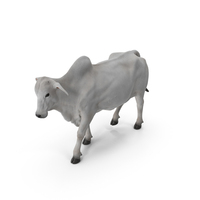 White Cow Female Walking PNG & PSD Images