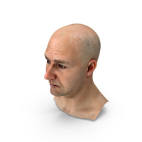 Realistic Adult Male Bald Head PNG & PSD Images