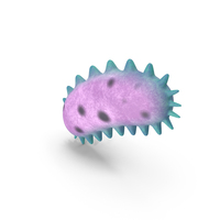 Bacteria PNG & PSD Images
