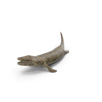 Hunting Tiktaalik PNG & PSD Images