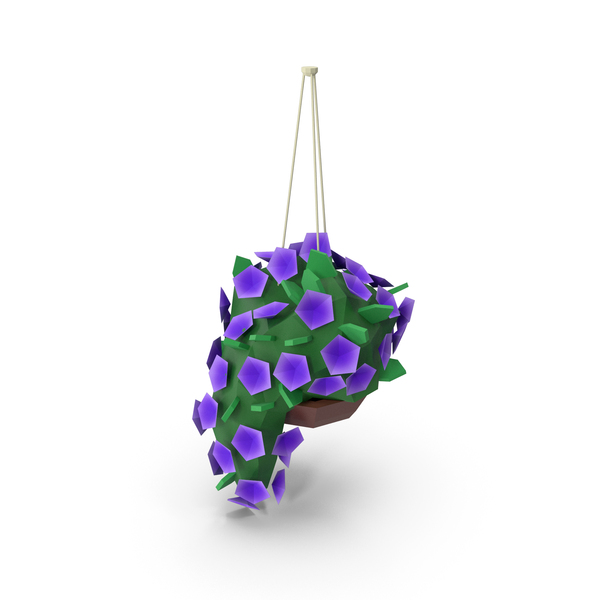 Plant PNG & PSD Images